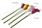 13.5in Colorful Calla Lily Artificial Flowers 20 Stems(Colorful)